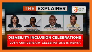 THE EXPLAINER  Disability and Inclusion [upl. by Nuyh442]