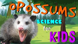 Opossums  Science for Kids [upl. by Skricki982]