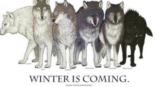 DIREWOLVES and what they are to Game of Thrones LORE [upl. by Lefton353]