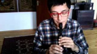 music lesson 5 first steps with a descant recorder [upl. by Nnewg167]