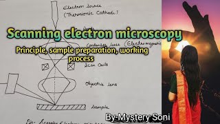 BScMSc Scanning electron microscopy for plant protoplast cells and tissues [upl. by Gaultiero962]