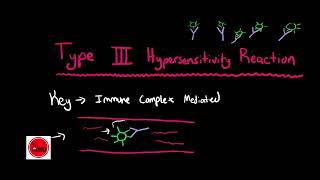 Type 3 Hypersensitivity Reactions [upl. by Dalston606]