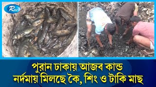 পুরান ঢাকায় নর্দমা থেকে দেশি মাছ শিকার করছে শ্রমজীবী মানুষ  Old Dhaka  Fish  Rtv News [upl. by Nnael]