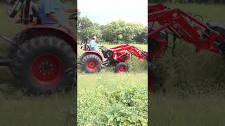 TYM bush hoggingsmallfamilyfarm farmequipment homesteading [upl. by Lytsyrk84]