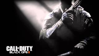 Call Of Duty Black Ops 2  Effect Sound ByeBye [upl. by Namijneb]