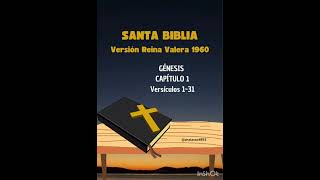 Santa Biblia Audio Libro [upl. by Judi442]