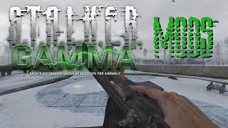 The Best Mods to Use With STALKER GAMMA [upl. by Domineca]