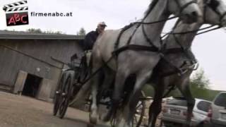 Fahr und Reitstall Wolfmayr in Altenfelden  Reiterhof und Reitschule im Bezirk Rohrbach [upl. by Oira]