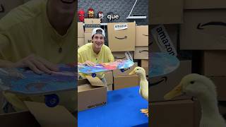 Le Compre 100 Productos De Amazon A Mis Patos😱😂 [upl. by Devlen]