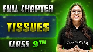 Tissues FULL CHAPTER  Class 9th Science  Chapter 6  Neev [upl. by Marylin]