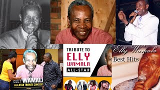 ELLY WAMALA NONSTOP MIX TAPE BEST SONGS  EVIOMATIC DEEJAYS ACADEMY 2025 [upl. by Tamah450]