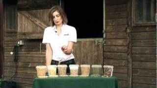 Whats in horse feed  Raw Materials [upl. by Brennen898]