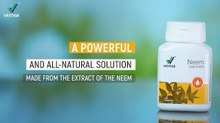 Vestige Neem Capsules  Product AV Hindi [upl. by Reifinnej]