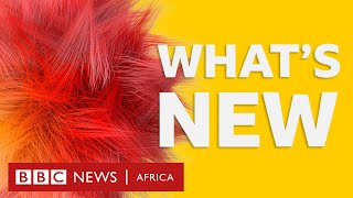 BBC Africa Tackling colourism and skin bleaching plus more stories  BBC Whats New [upl. by Anitreb]