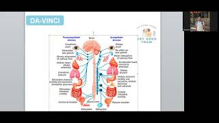 Autonomic nervous system ANS part 1 [upl. by Animas]