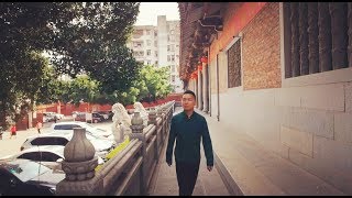 Jincheng Zhang  Oneself Official Music Video [upl. by Anaira941]