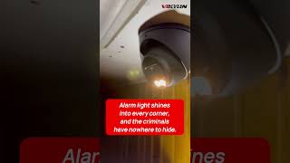 Security Cameras  The Light That Deterrent Criminals [upl. by Akinehc422]