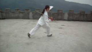 Wudang Sword 7 Stars Form by Yuan Li Min disciple Zhang Wei Hai 武当七星剑 [upl. by Rubens]