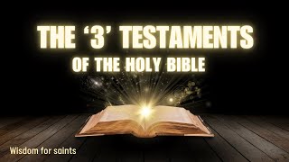 Bible Testaments Explained 🙏 There are No 2 Testaments [upl. by Nader593]