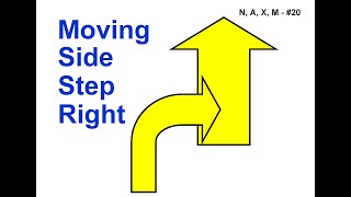 ANKC 2021 Rally Sign 20 Moving Sidestep Right Novice [upl. by Eloc]