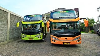 Review Bus Rejeki Transport Scania K310IB [upl. by Lanie]