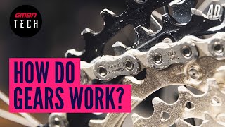 How Do Mountain Bike Gears Actually Work  Bicycle Gears Explained [upl. by Chew]