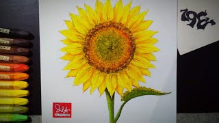 How to draw and color sunflower with oil pastel  Tutorial for kids  Art workshop  For my students [upl. by Yllac830]