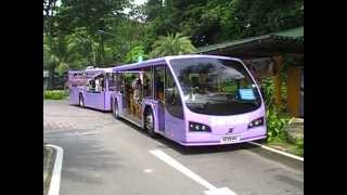 Volvo B12BLEA ComfortDelgro in Sentosa Singapore [upl. by Anahsal386]