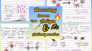 antigen and antibody reaction msc zoology 3rd sem notes immunology ✍️📝✨ [upl. by Zellner]