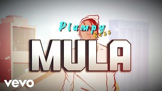 Plumpy Boss  Mula Visualizer [upl. by Mann]