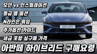 아반떼 하이브리드 구매 전 꼭 봐야할 실전 압축 구매요령 [upl. by Yenial147]