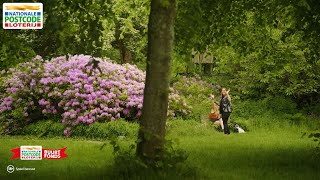 Haarlemmer Kweektuin  Postcode Loterij Buurtfonds [upl. by Annirak]