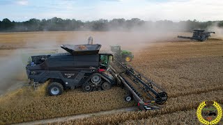 3 x Fendt IDEAL Drescher 10T und 9T  Fendt  John Deere  XXL Weizenernte [upl. by Henigman]