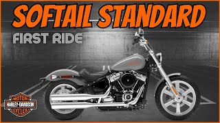 2024 Softail Standard First Ride Review [upl. by Dlopoel]