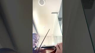 Dvorak Violin Concerto  Trying out my shower acoustics PART 4 shorts classicalmusic violin [upl. by Aevin]