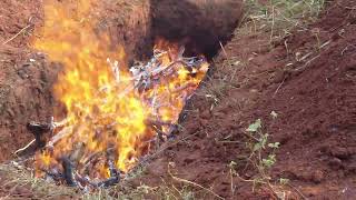 Biochar Quenching [upl. by Snell]