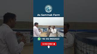 Training Glimps Of Biofloc Fish Farming [upl. by Kobe694]