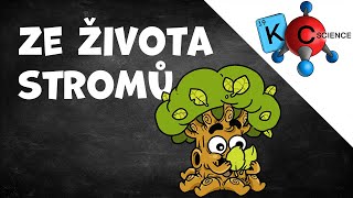 Ze života stromů [upl. by Etnad]