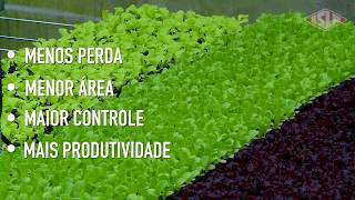 Vantagens da hidroponia para o produtor  Drops do Comunidade Hortifrúti [upl. by Rochelle]