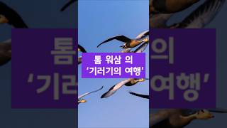 기러기의 여행  혼자 가면 빨리가지만 힘께 가면 멀리간다 [upl. by Donia]