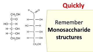 How to memorize monosaccharides [upl. by Anoy]