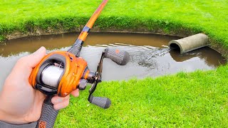 This SMALL Pond is LOADED w GIANT Bass [upl. by Evette]