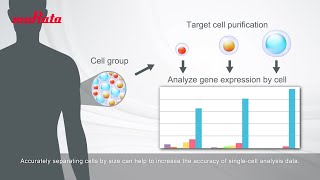 CELLNETTA Application Example Preprocessing for Singlecell Analysis [upl. by Anead]