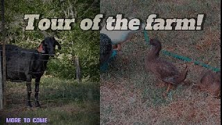 Tour of the farm AJOURNEY [upl. by Chaffinch]