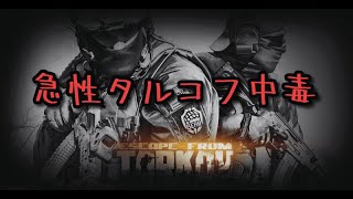 【タルコフ】脱初心者！フリマ開放するぞ！ [upl. by Trah]