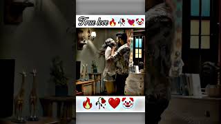 True Love  WhatsApp status  romantic status  lovequotes love  lovestatus viral trending [upl. by Yntirb]