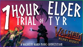 Trial Of Tyr  1 Hour Elder Guide [upl. by Eiduam]