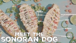 Meet The Sonoran Dog [upl. by Ruddy]