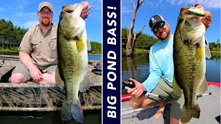 3 Steps to Grow Big Bass in Ponds [upl. by Assennej]