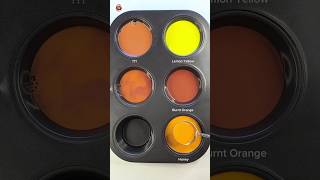 Color mixing 7  Multiple liquid color mixing ASMR colormixing paintmixing mixedcolors asmr [upl. by Ahsiekahs]